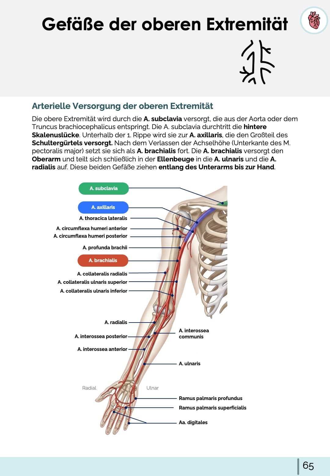 All-in-One Bundle (55% off)