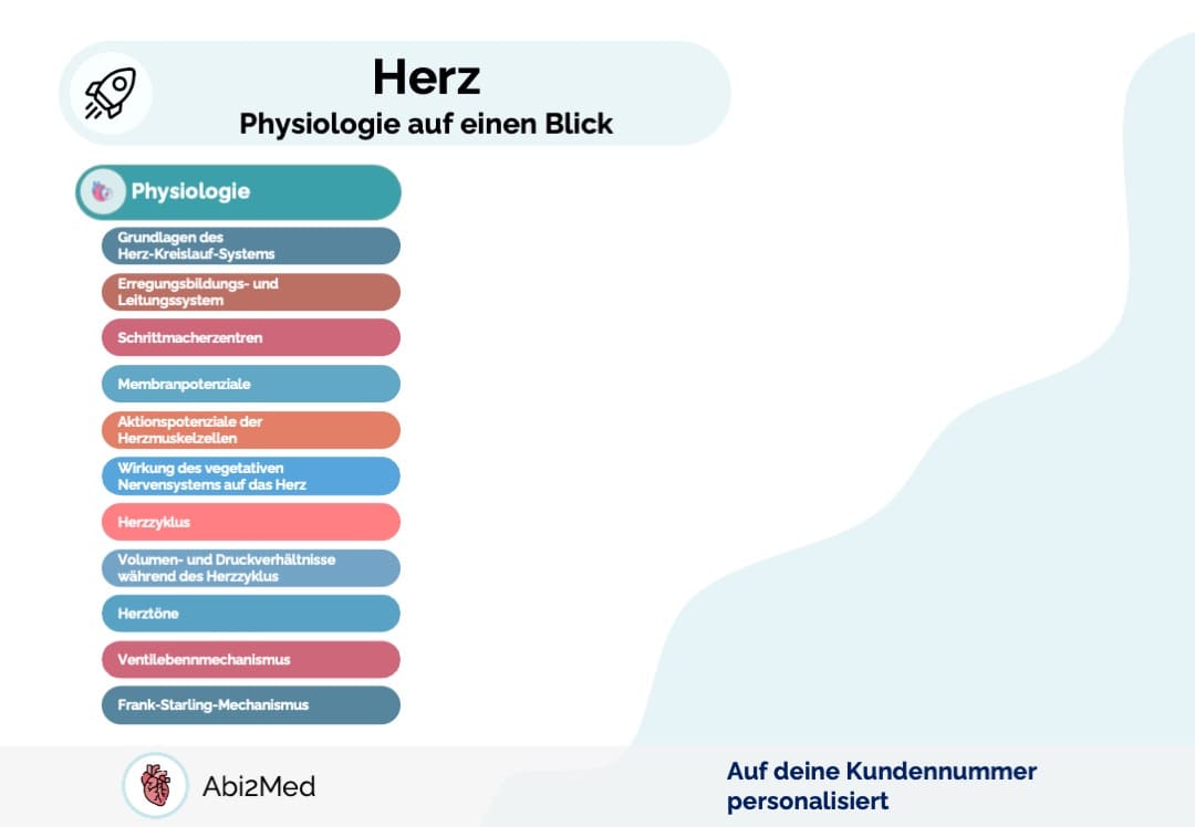 Herz (Physiologie) - Lernkarten