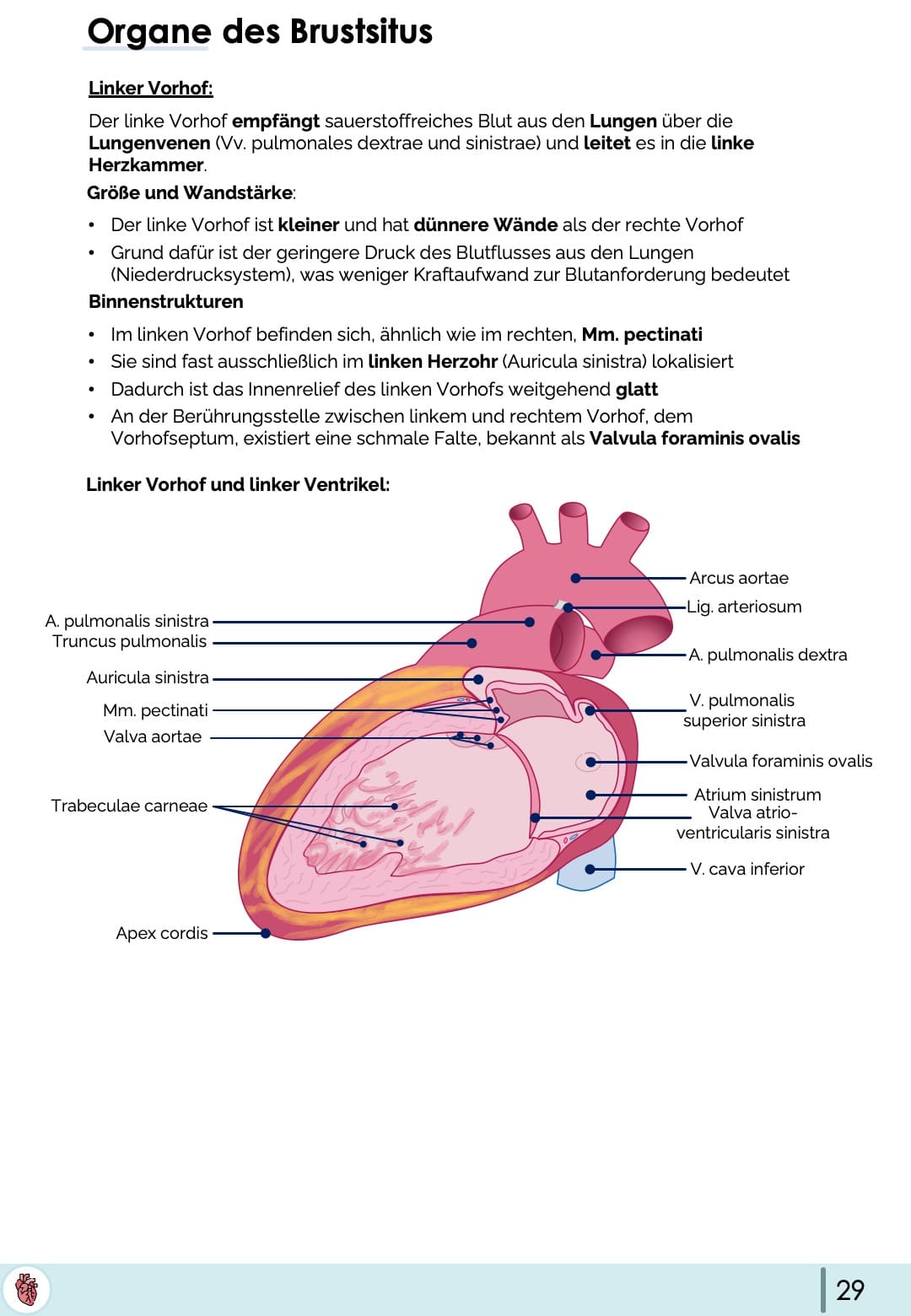 All-in-One Bundle (55% off)