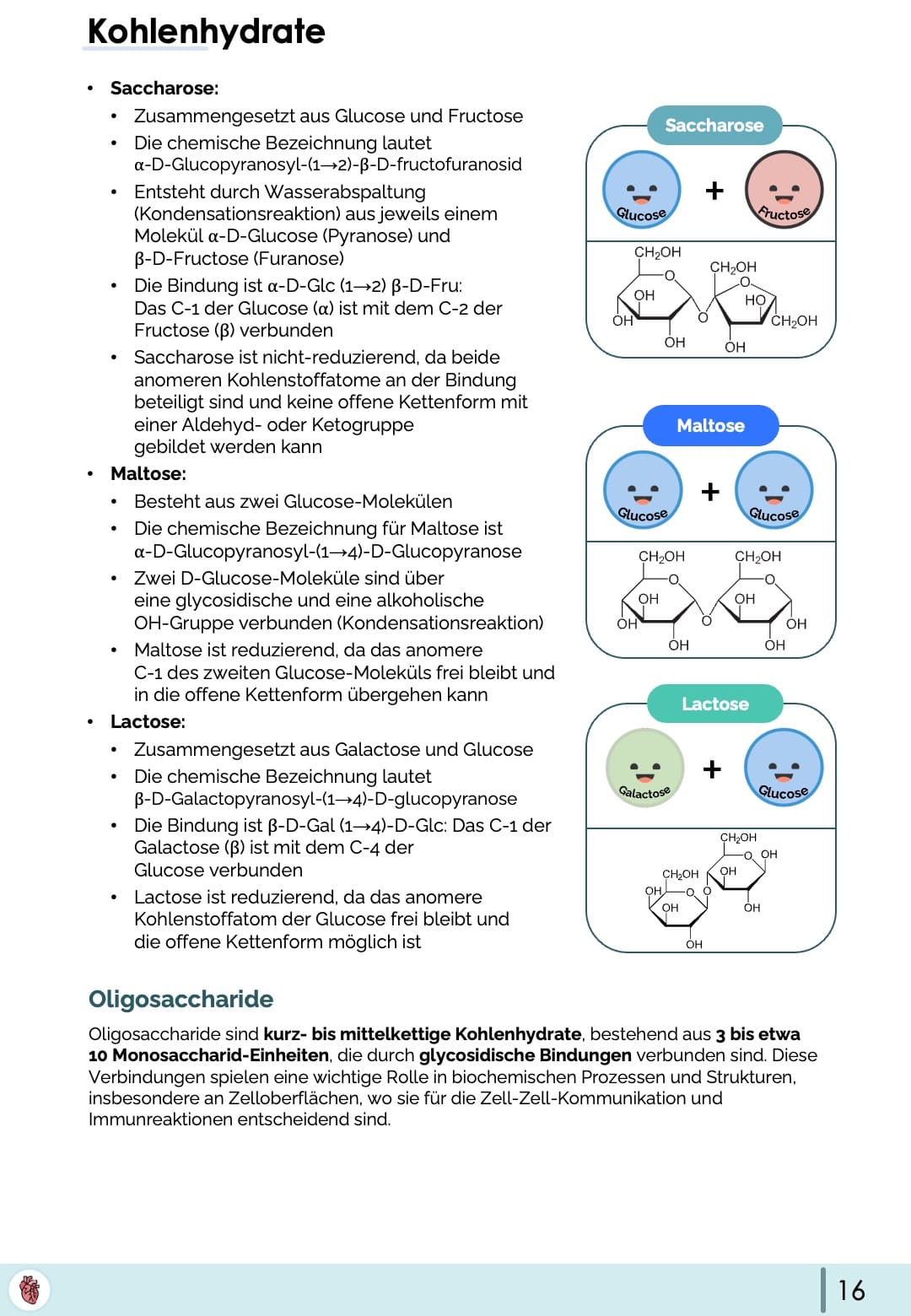 Biochemie-Skript (Teil 1)