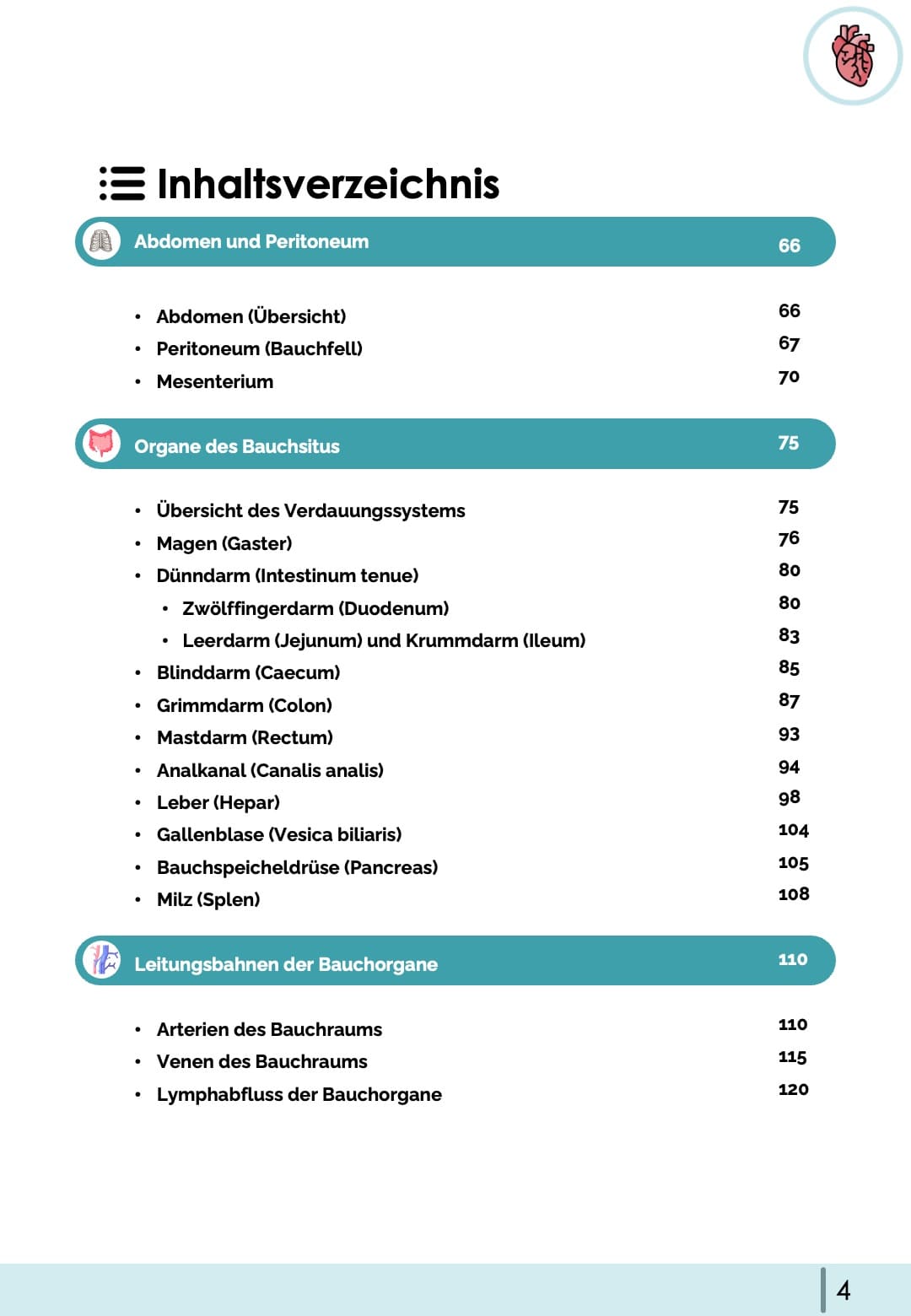 Anatomie-Skript II - Innere Organe
