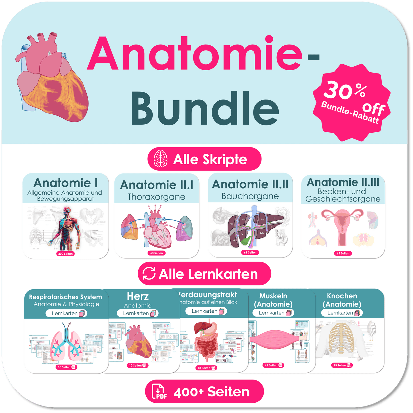 Anatomie-Skripte