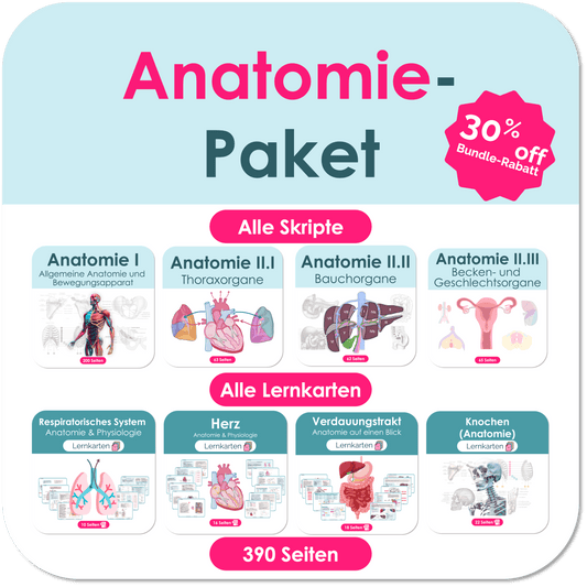 Anatomie-Paket (30% off)