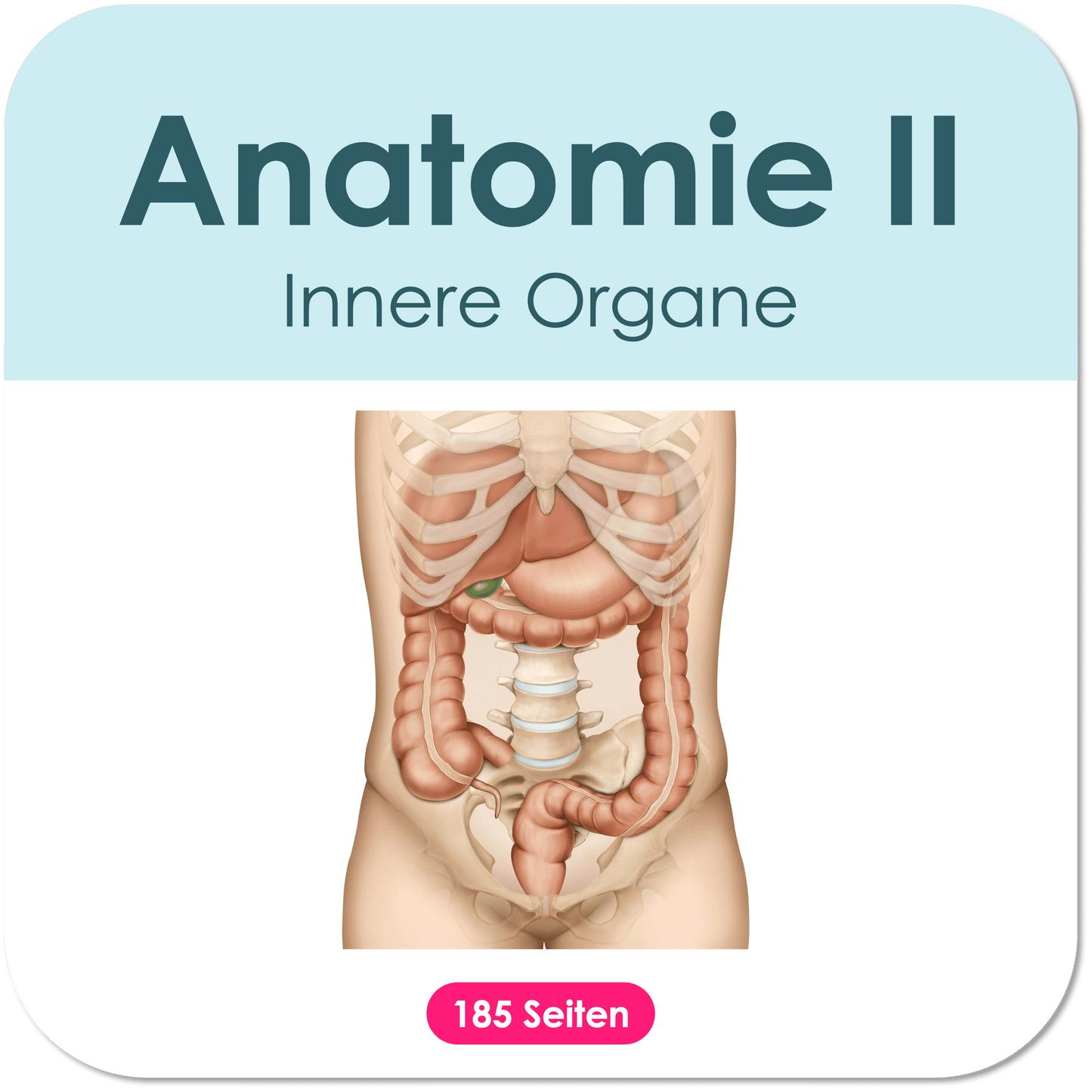 Anatomie-Skript II - Innere Organe