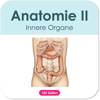 Anatomie-Skript II - Innere Organe