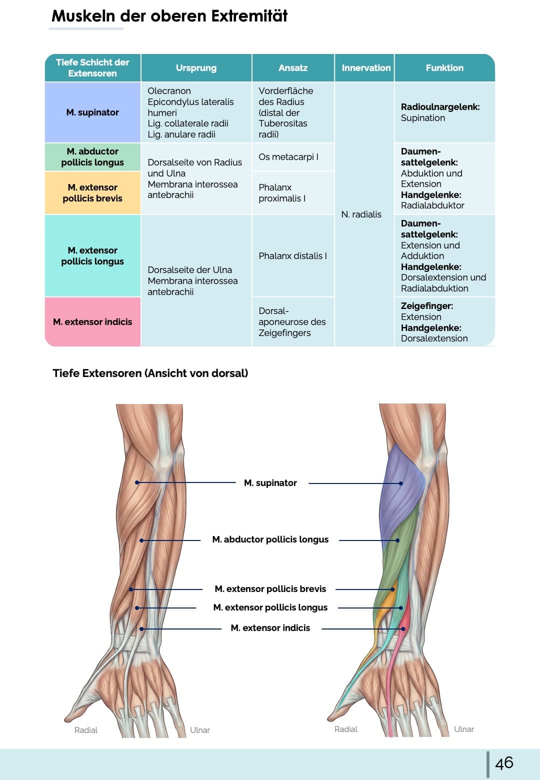 All-in-One Bundle (55% off)