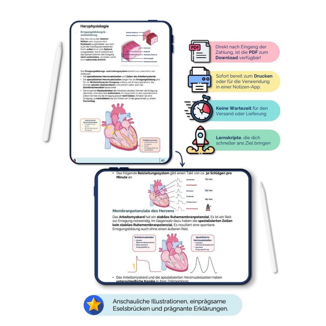 Anatomie_PhysiologieSkripte