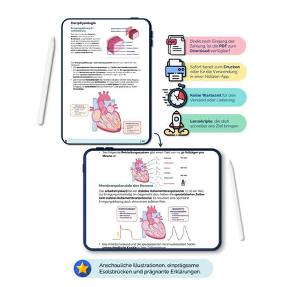 Anatomie_PhysiologieSkripte