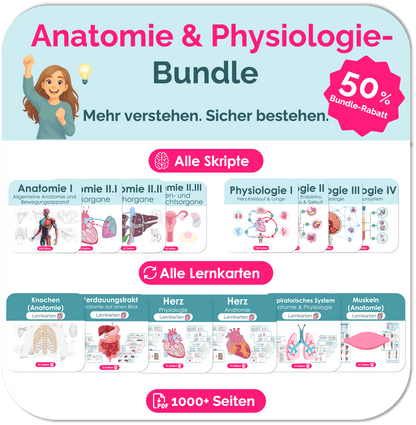 Anatomie und Physiologie Skripte