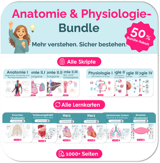 Anatomie und Physiologie Skripte