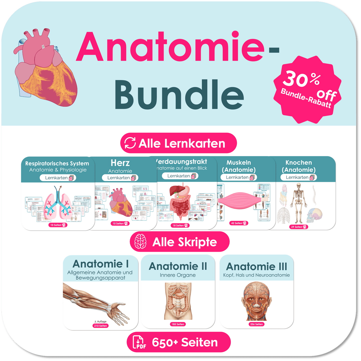 Anatomie_Skripte