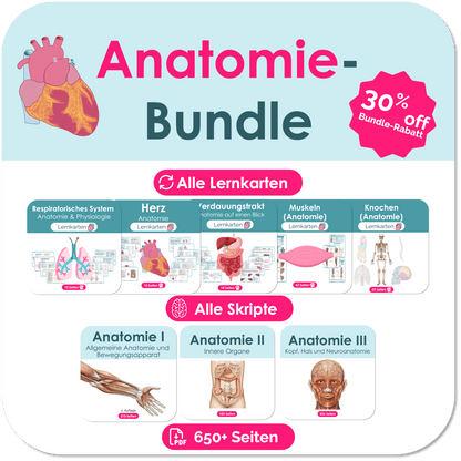 Anatomie_Skripte