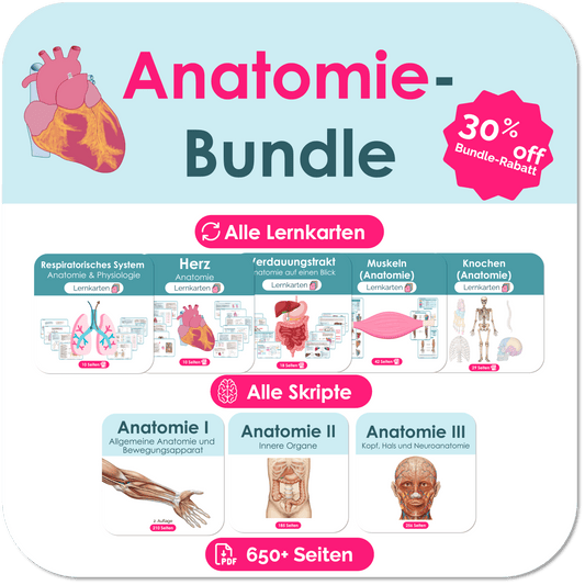 Anatomie_Skripte