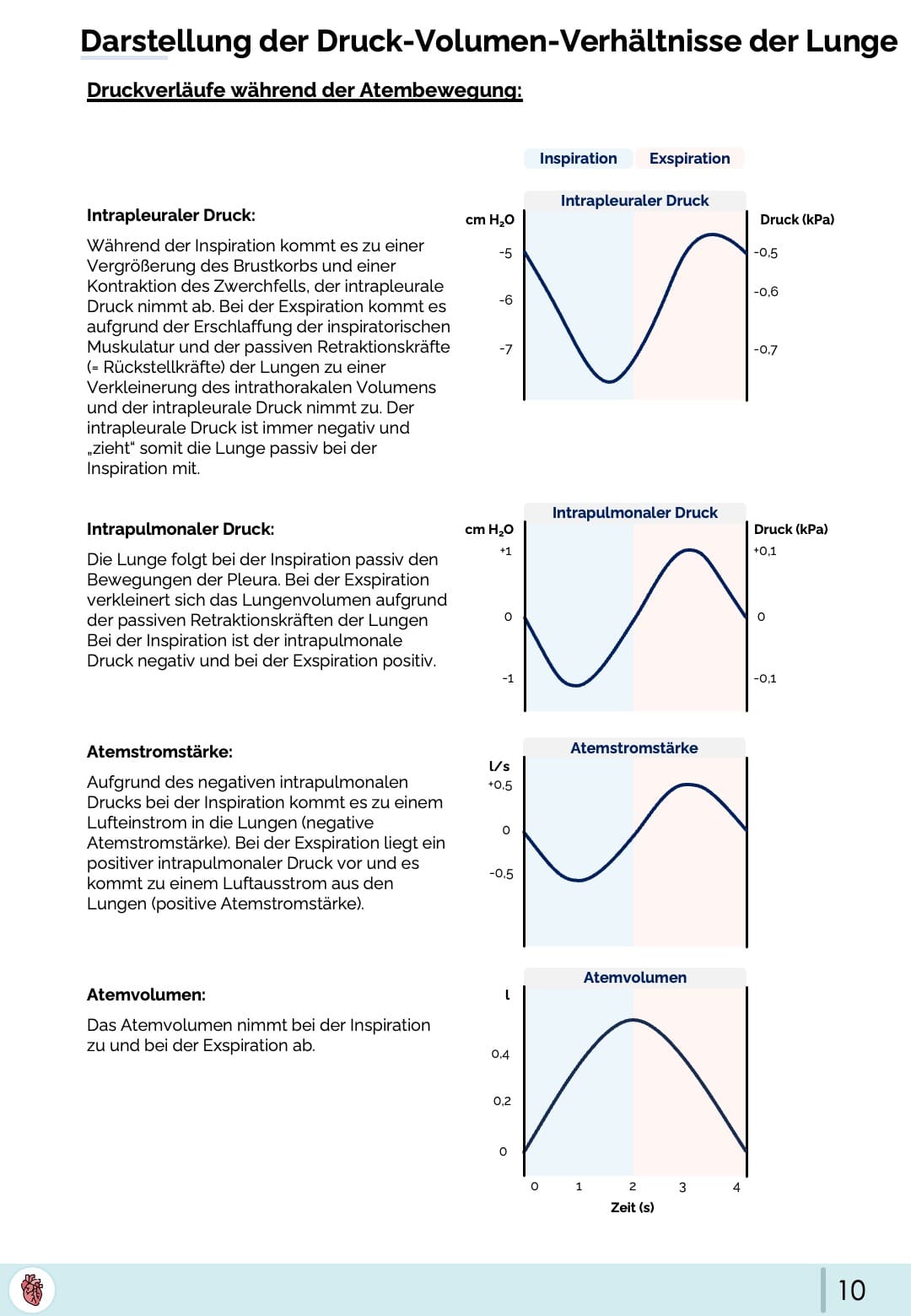 Atembewegung