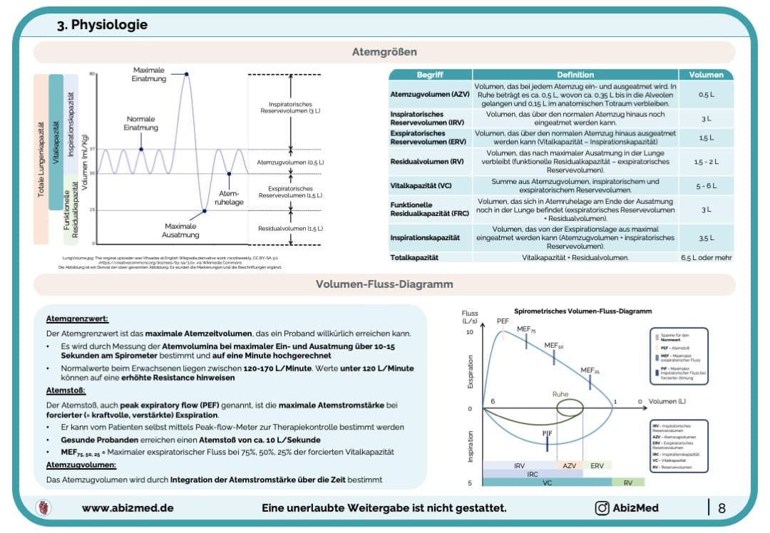 Respiratorisches System (Anatomie & Physiologie) - Lernkarten