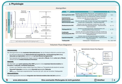 Respiratorisches System (Anatomie & Physiologie) - Lernkarten