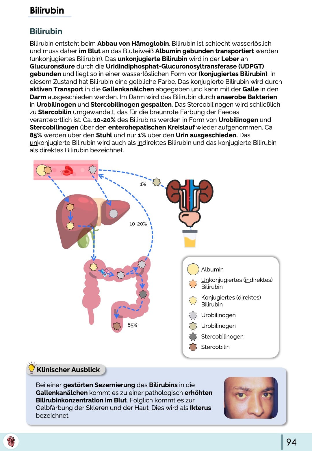 Bilirubin