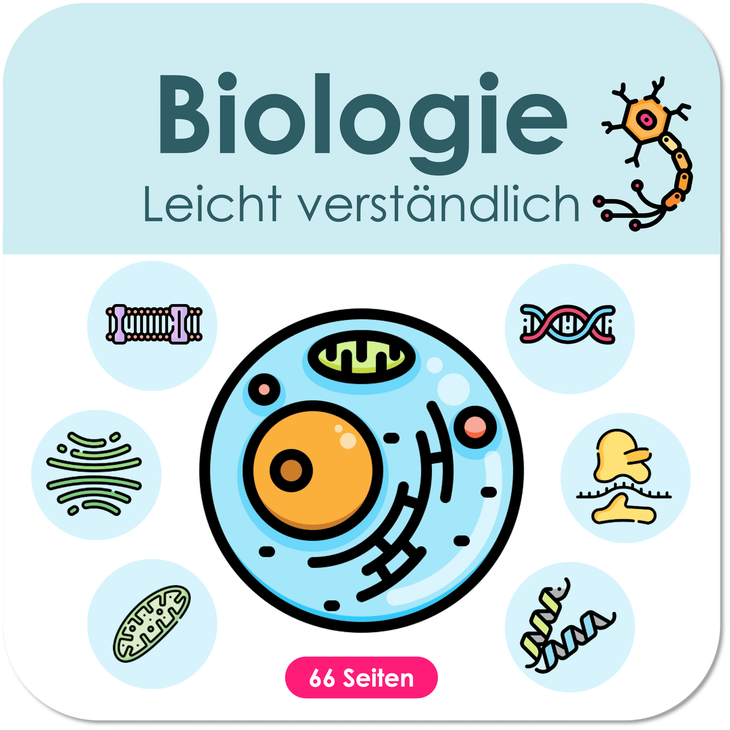 Biologie-Skript