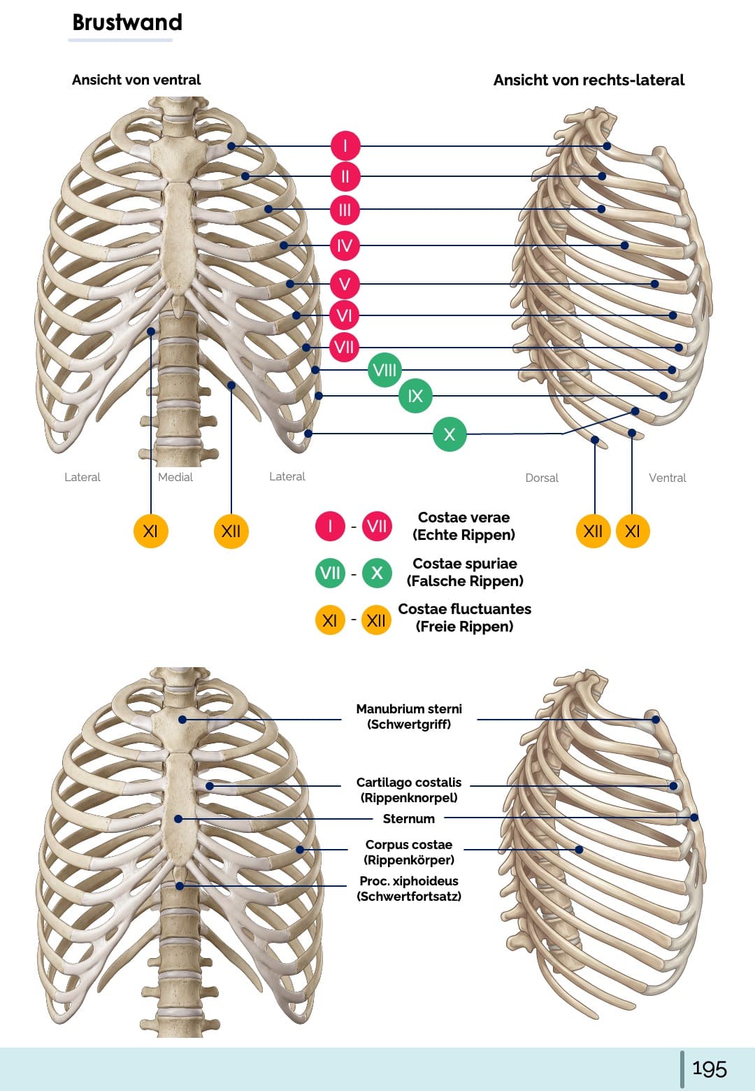 All-in-One Bundle (55% off)