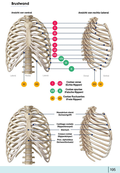 All-in-One Bundle (55% off)