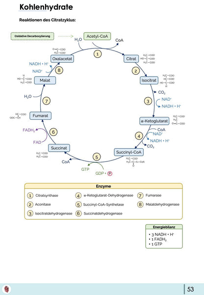 Biochemie-Skript (Teil 1)