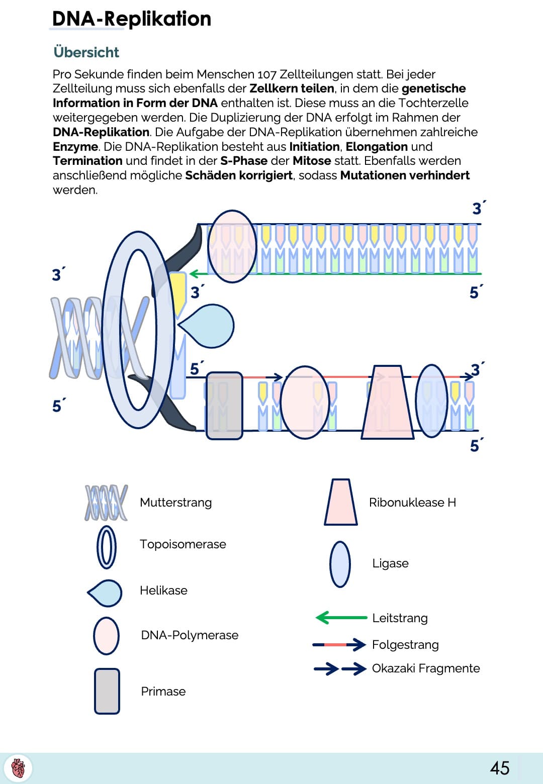 Biologie-Skript