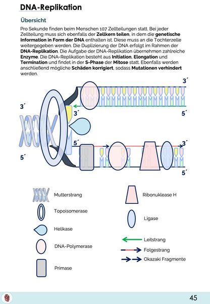 Biologie-Skript