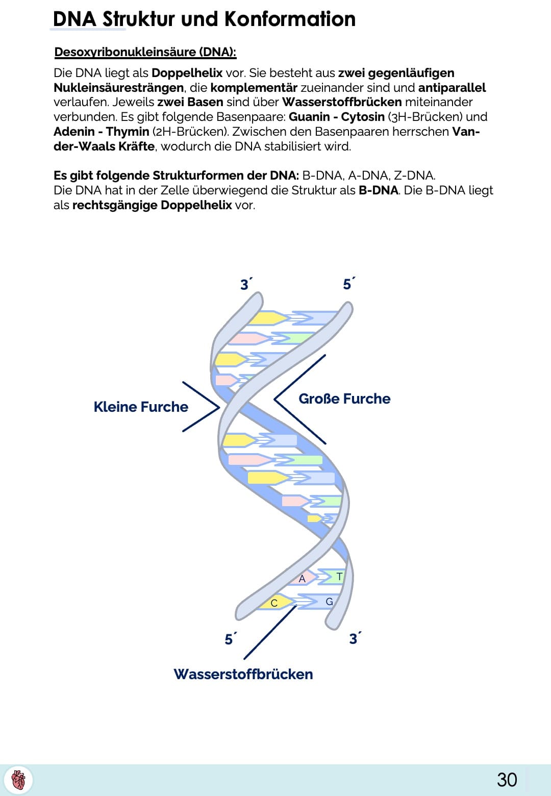 Biologie-Skript