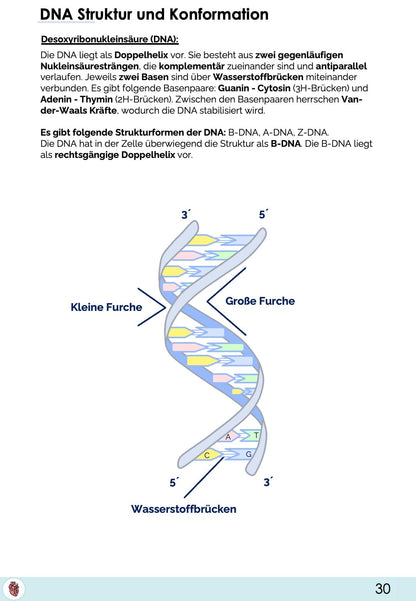 Biologie-Skript