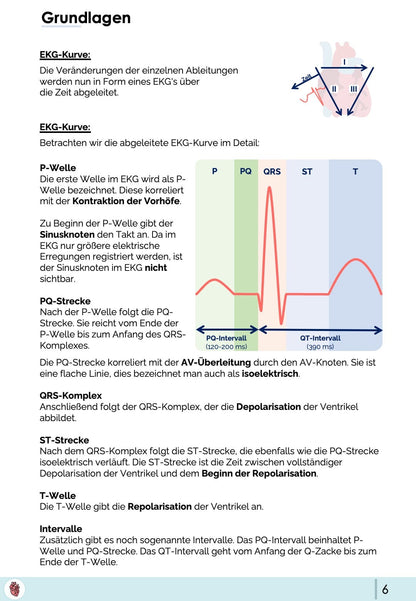 EKG Grundlagen