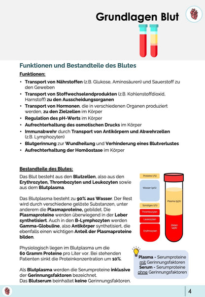 Grundlagen Blut