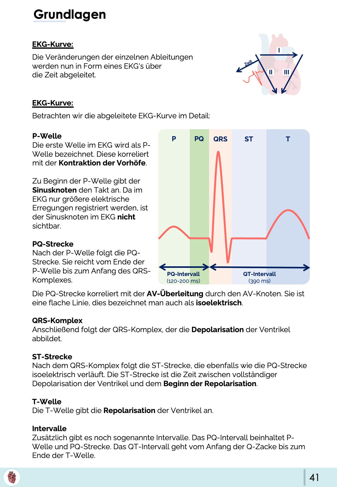 EKG Grundlagen