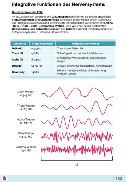 EEG