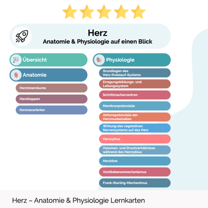 Herz Anatomie PDF