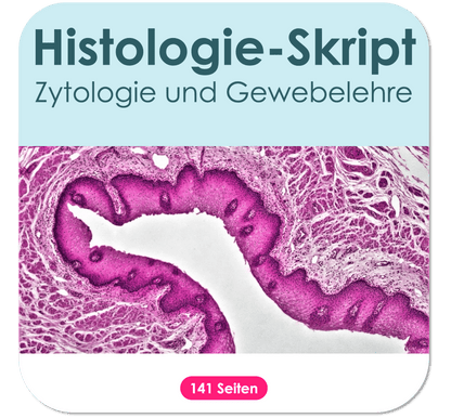 Histologie-Skript