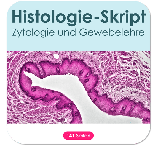 Histologie-Skript