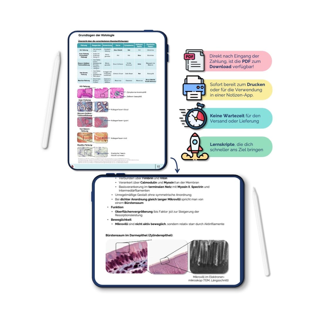 HistologieSkriptPDF