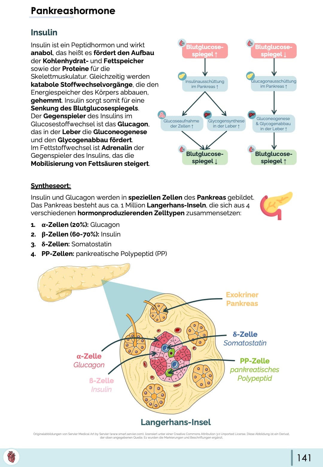 Insulin