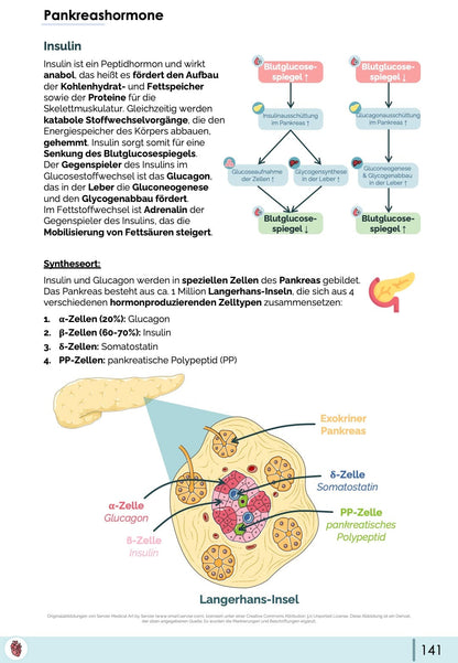 Insulin