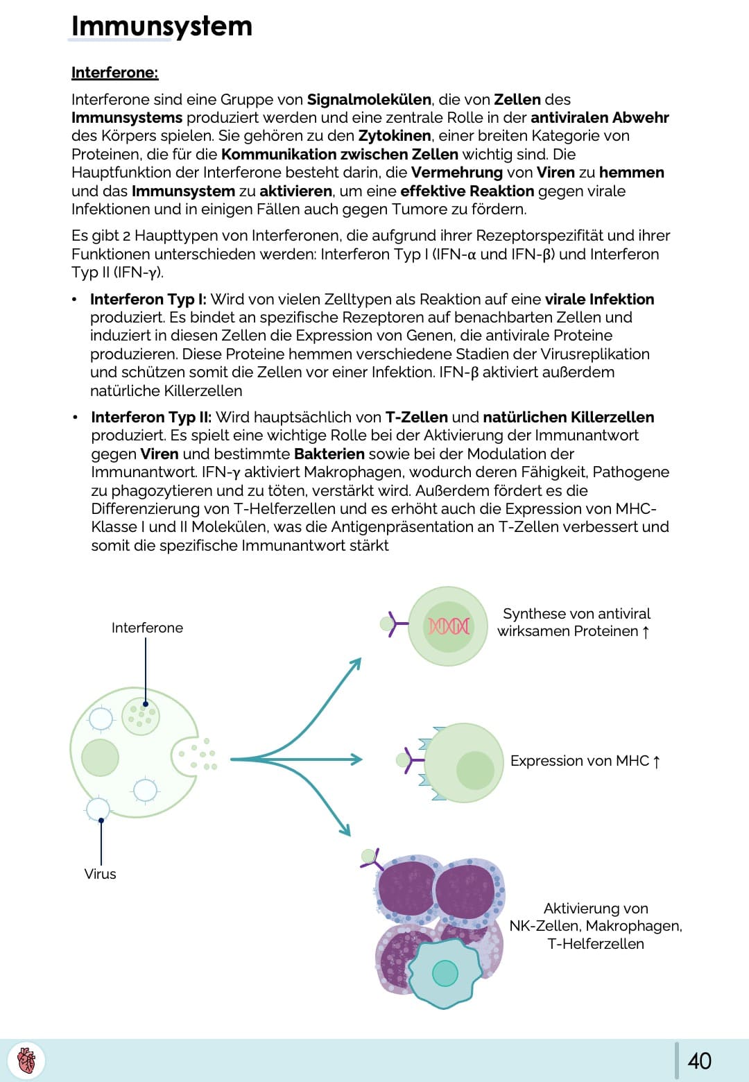 Interferone