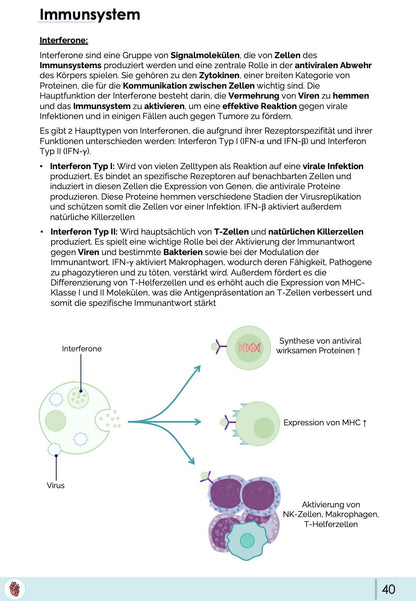 Interferone