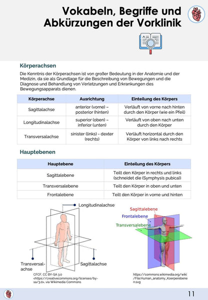 Terminologie - Skript