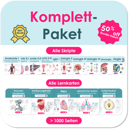 Komplett-Paket (50% off)