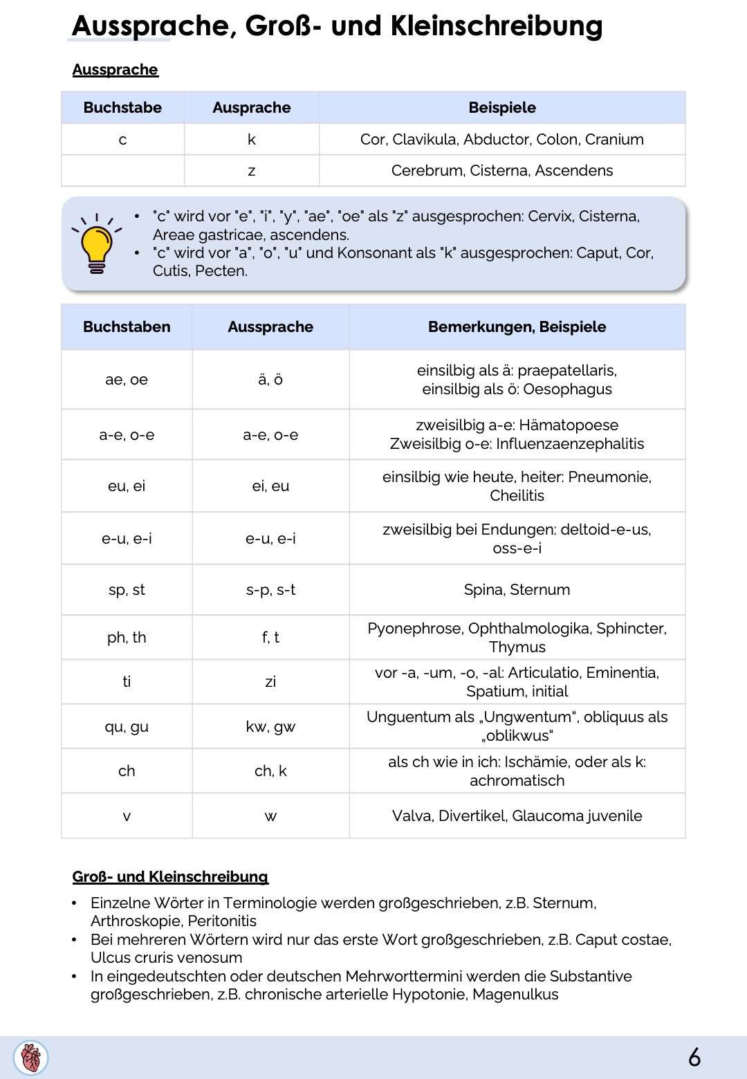 Terminologie - Skript