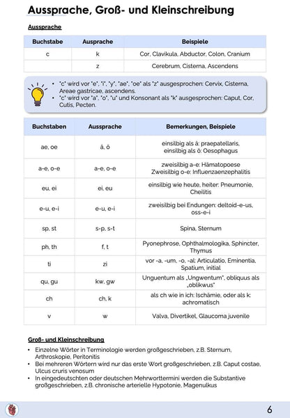 Terminologie - Skript