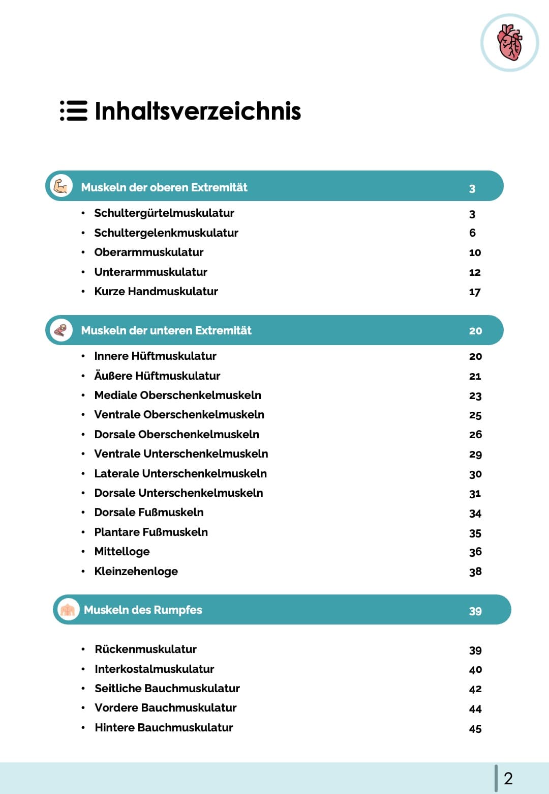 Muskeln (Anatomie) - Lernkarten