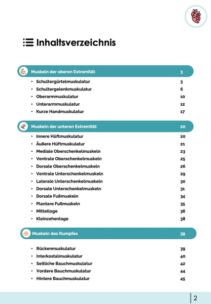 Muskeln (Anatomie) - Lernkarten