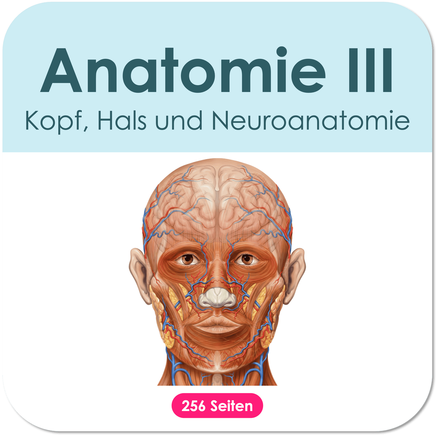 Neuronanatomie