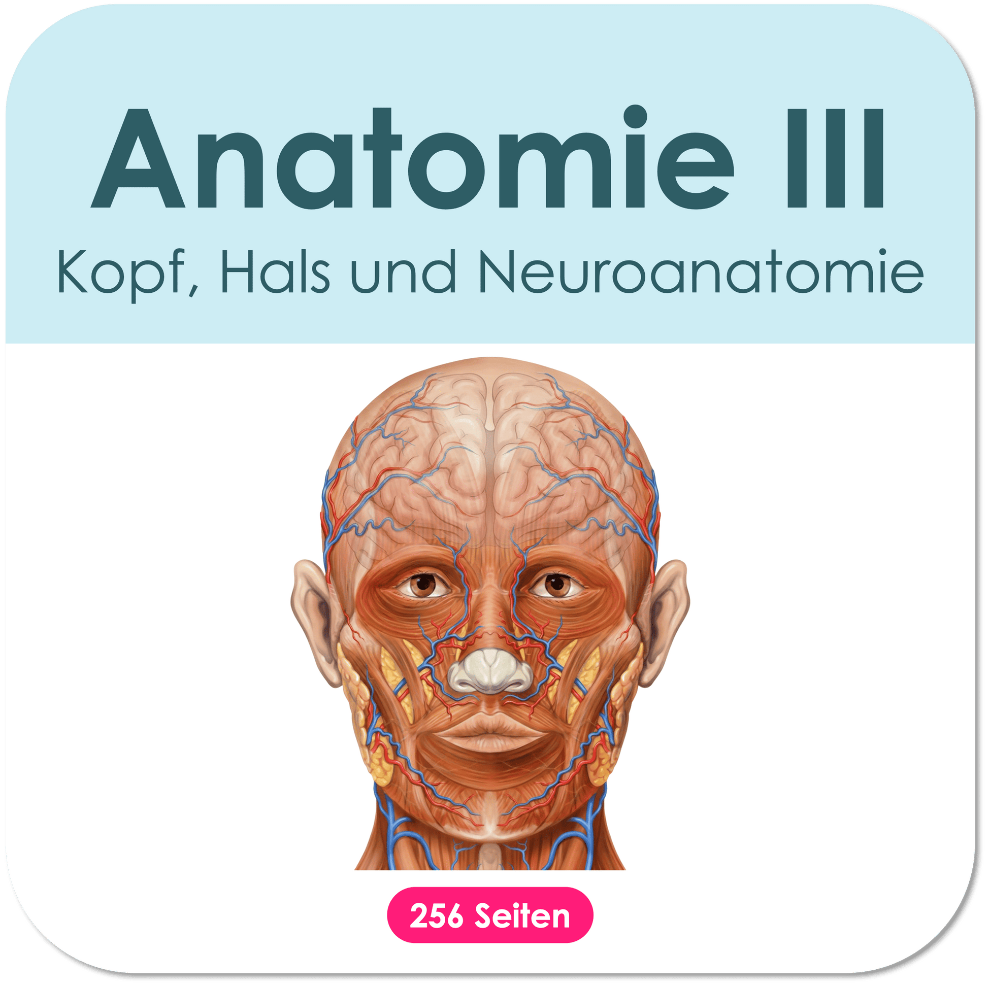Neuronanatomie