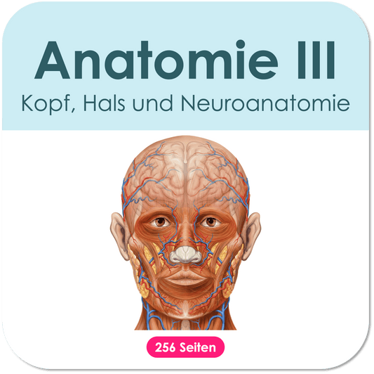 Neuronanatomie